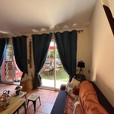 Le Grenache Collioure